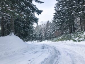 Droga-pośród-drzew-pokrytych-szronem-mróz-śnieg-freepik-meteo-ostrzeżenie