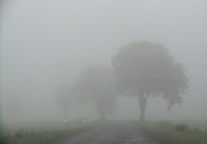 Obraz przedstawia gęstą mgłę