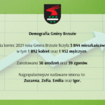 Demografia gminy Brzozie
